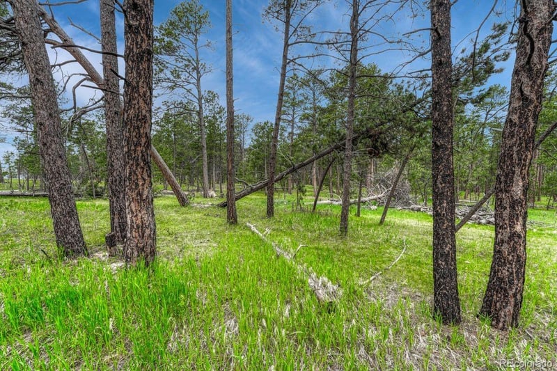 01 Wyandott , Colorado Springs, CO 80908