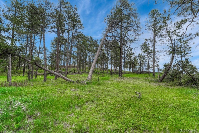 01 Wyandott , Colorado Springs, CO 80908