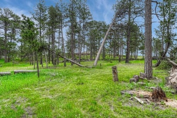 01 Wyandott , Colorado Springs, CO 80908