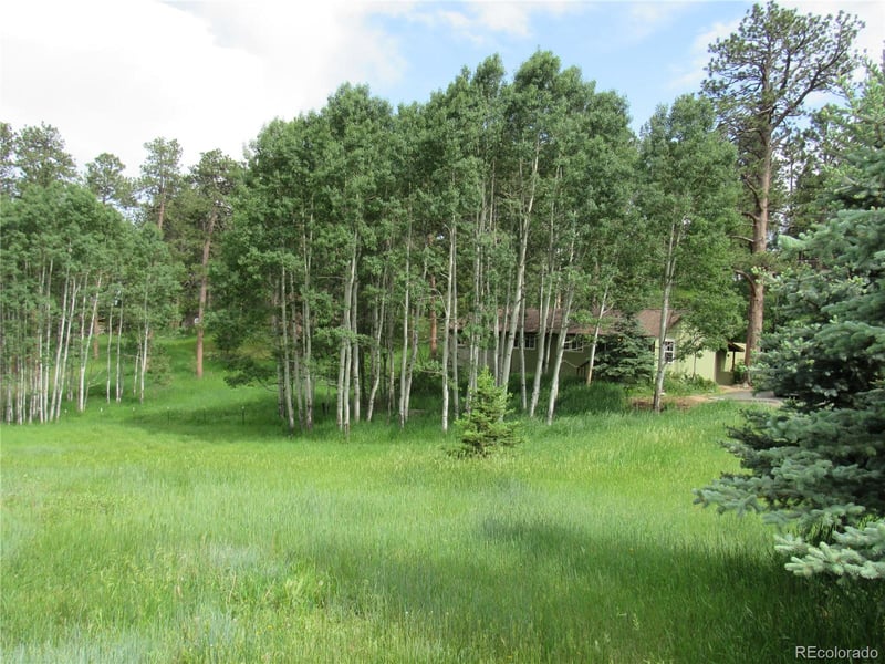 23136 Kiowa Rd, Indian Hills, CO 80454