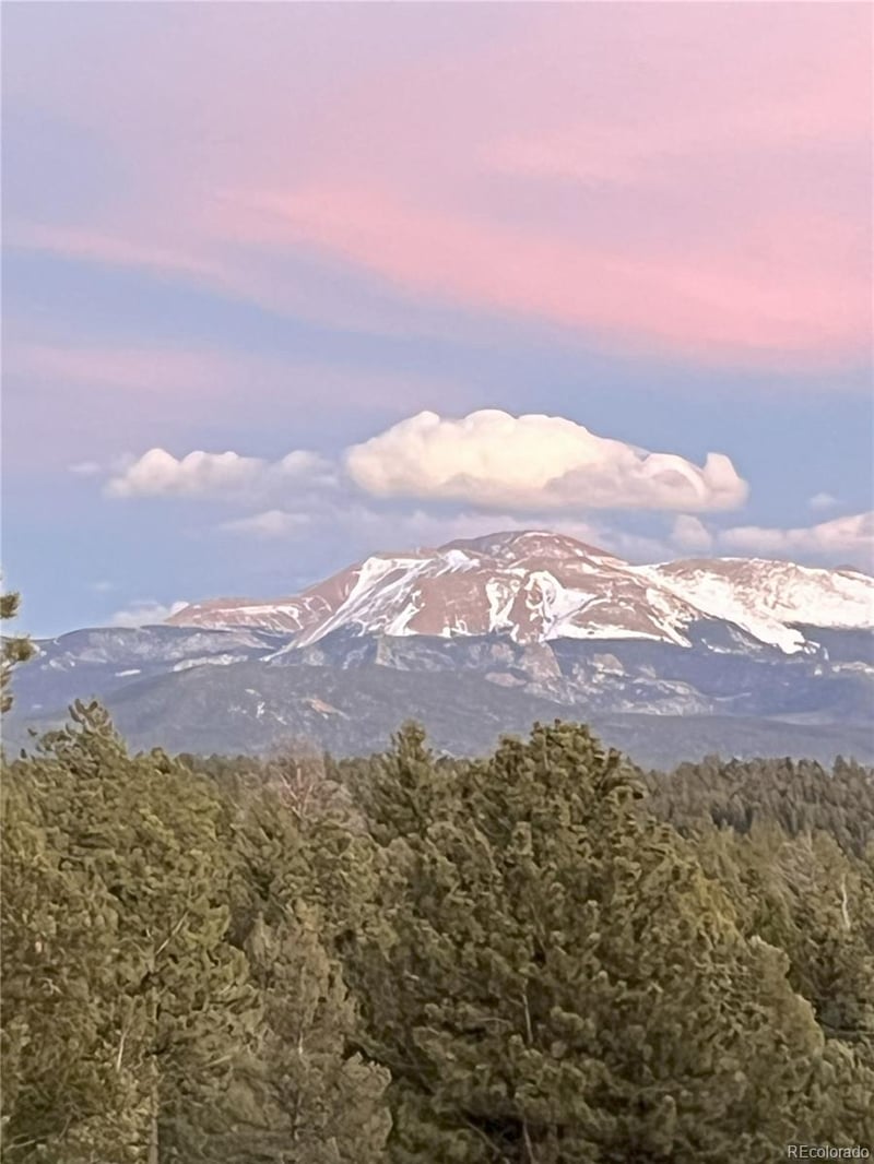 4261 County Road 51, Divide, CO 80814