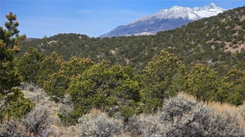 Lot 4536 Sarnoff Rd, Fort Garland, CO 81133