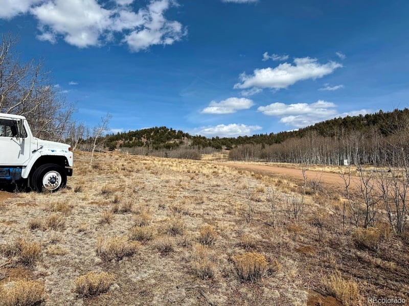 457 Caracara Ln, Jefferson, CO 80456