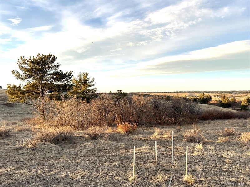 8475 Lost Lake Dr Lot 10, Franktown, CO 80116