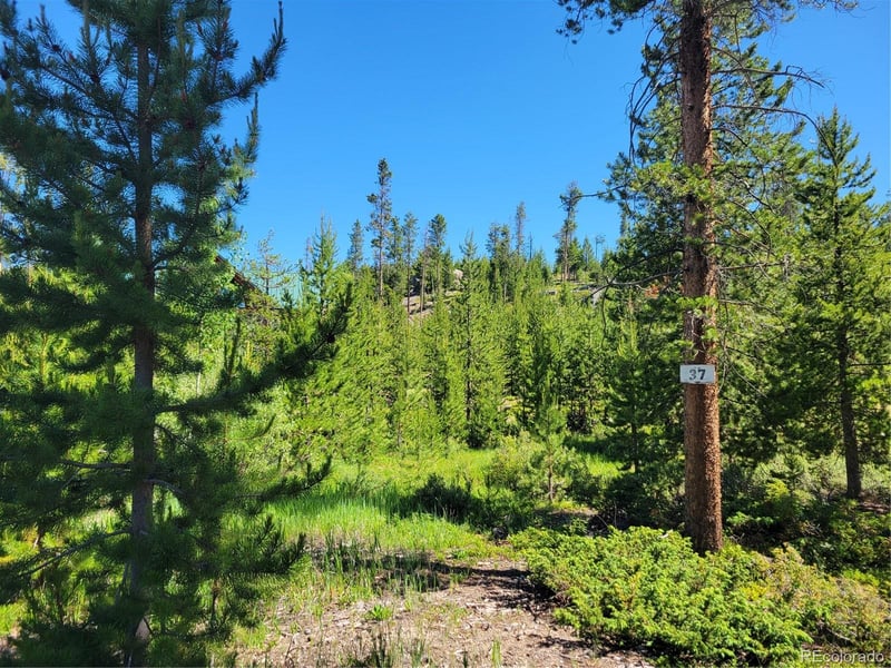 51 Gcr 6621 , Grand Lake, CO 80447