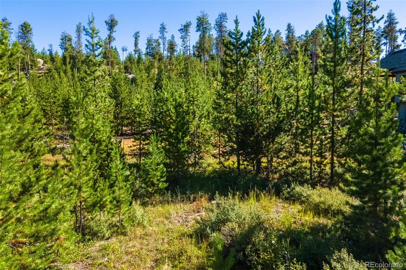 51 Gcr 6621 , Grand Lake, CO 80447