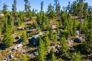 51 Gcr 6621 , Grand Lake, CO 80447