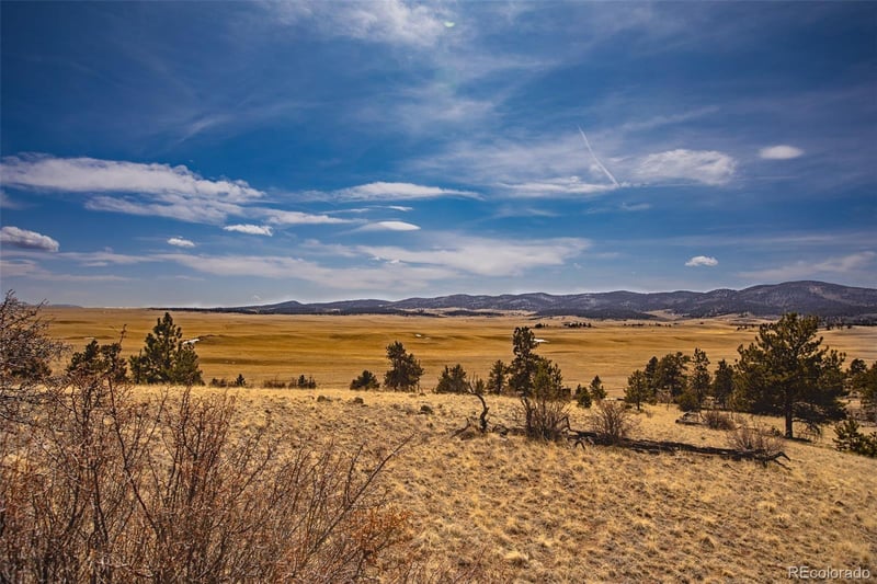 102 Pack Saddle Ct Lot 450, Hartsel, CO 80449