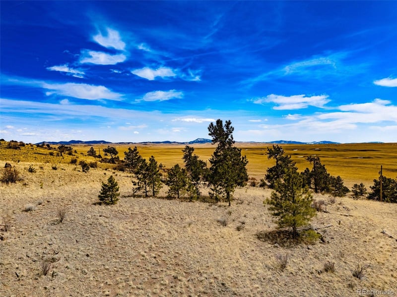 102 Pack Saddle Ct Lot 450, Hartsel, CO 80449