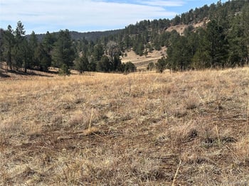 000 Big Pine Rg, Weston, CO 81091