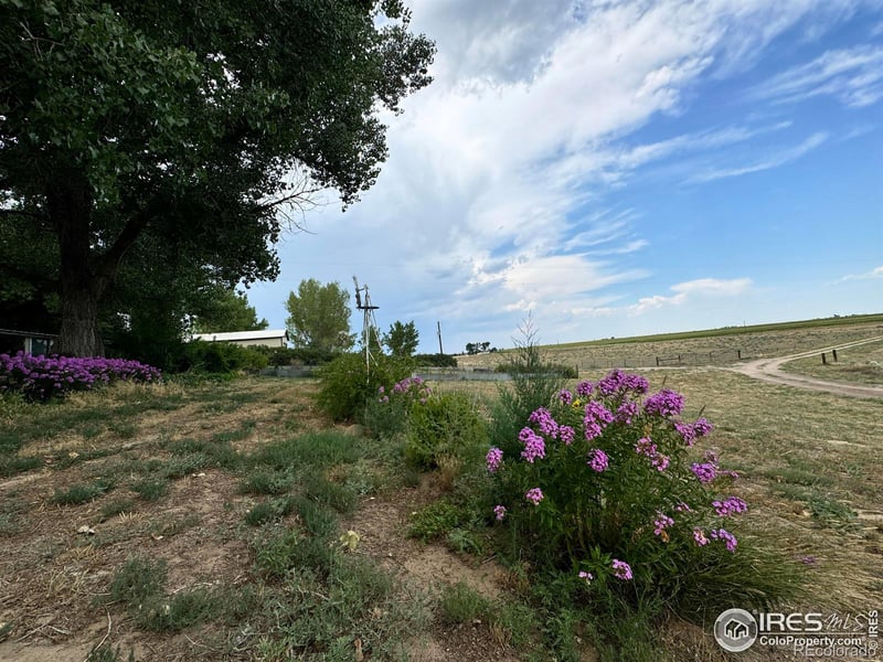 15721 County Road 1, Wiggins, CO 80654