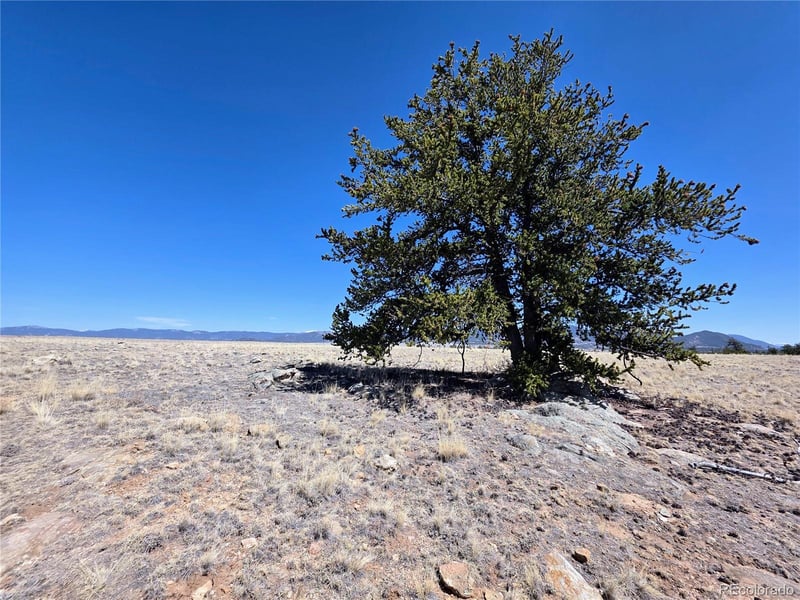 1000 Yellowstone Rd, Hartsel, CO 80449