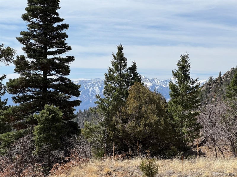 Basin Dr, Cotopaxi, CO 81223