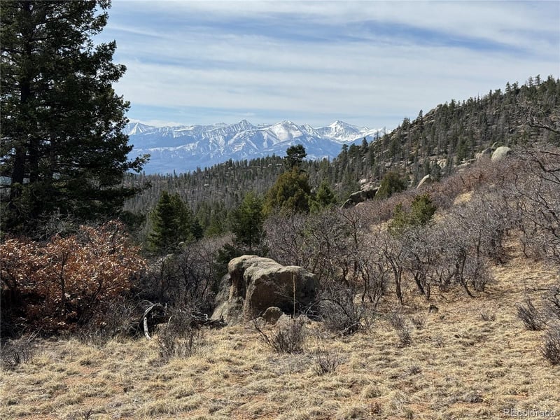 Basin Dr, Cotopaxi, CO 81223