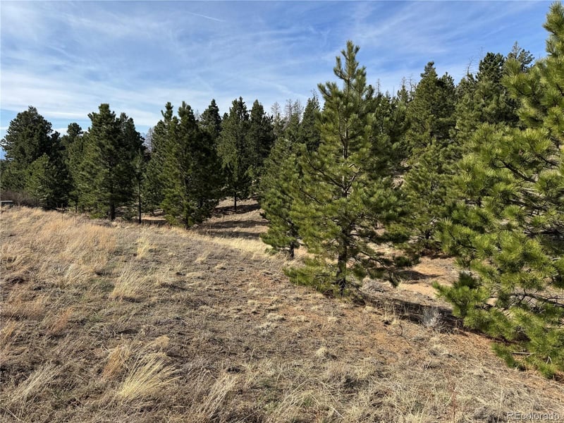 Basin Dr, Cotopaxi, CO 81223