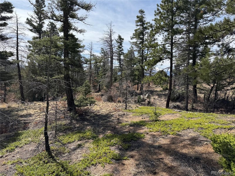 Basin Dr, Cotopaxi, CO 81223