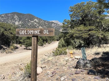 812 Goldmine Ol, Crestone, CO 81131