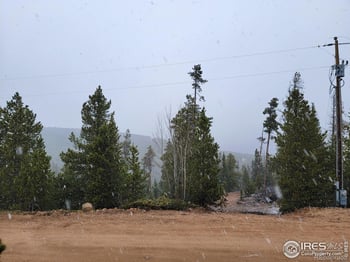 50 Carrier Way, Red Feather Lakes, CO 80545