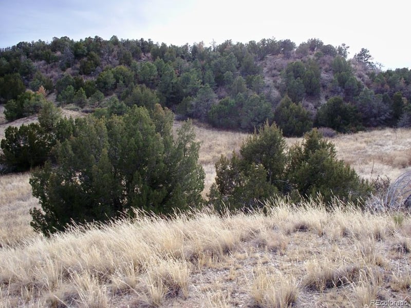 Lot 2 Red Creek Springs Rd, Pueblo, CO 81005