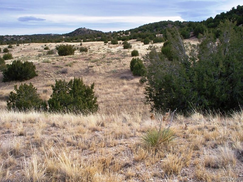 Lot 2 Red Creek Springs Rd, Pueblo, CO 81005