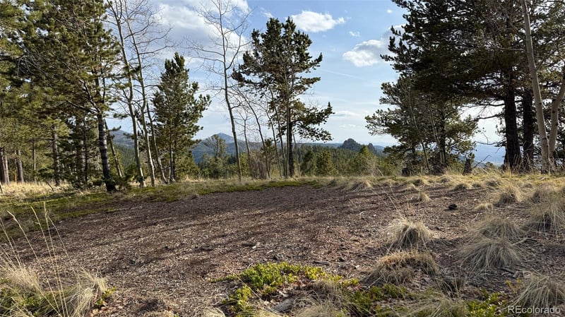 239 Homestead Rd, Divide, CO 80814