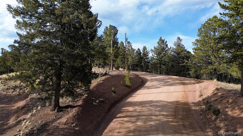239 Homestead Rd, Divide, CO 80814