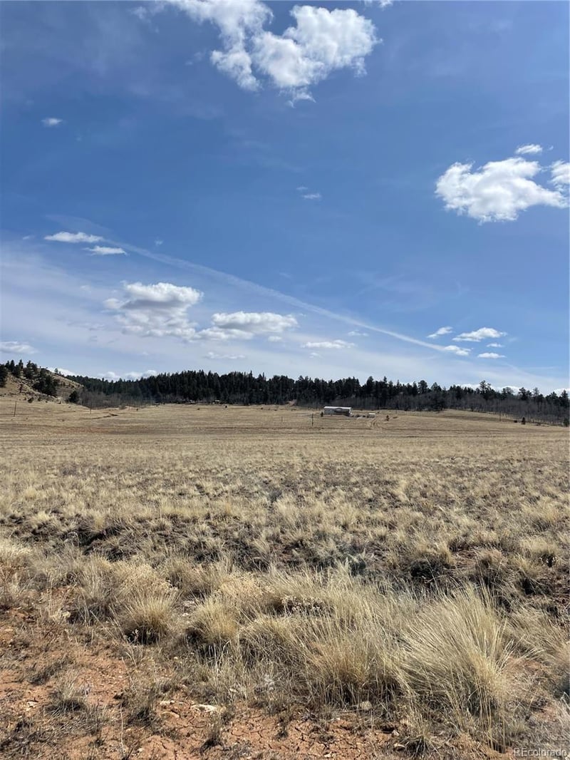 Guipago Trl, Hartsel, CO 80449