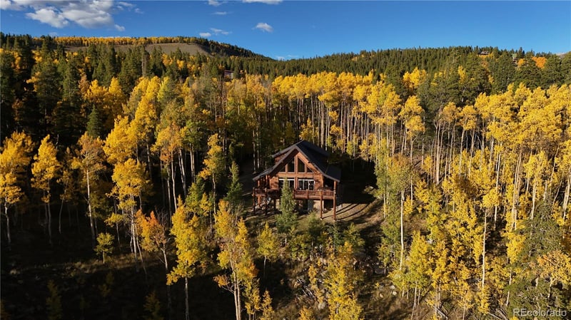 1330 Empire Valley Dr, Leadville, CO 80461