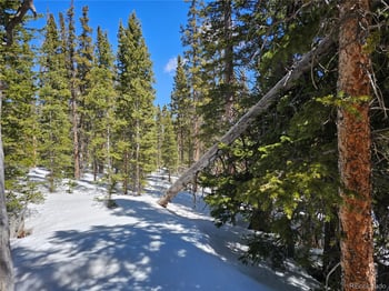 135 Valley Of The Sun Dr, Fairplay, CO 80440