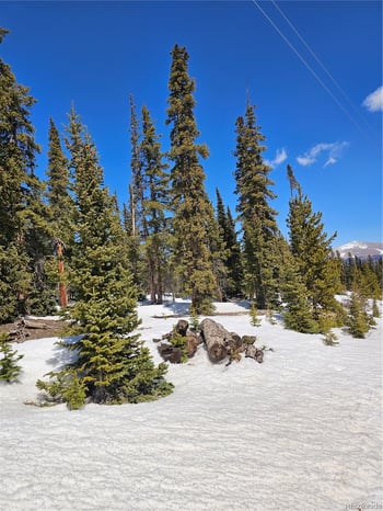 135 Valley Of The Sun Dr, Fairplay, CO 80440