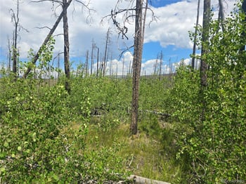 1460 - 1470 Von Hyle Ln, Fort Garland, CO 81133