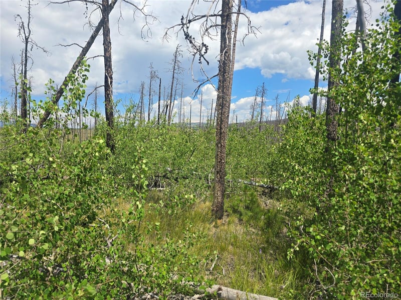 1460 - 1470 Von Hyle Ln, Fort Garland, CO 81133