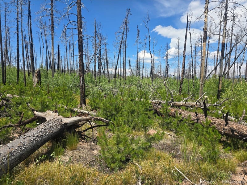 1460 - 1470 Von Hyle Ln, Fort Garland, CO 81133