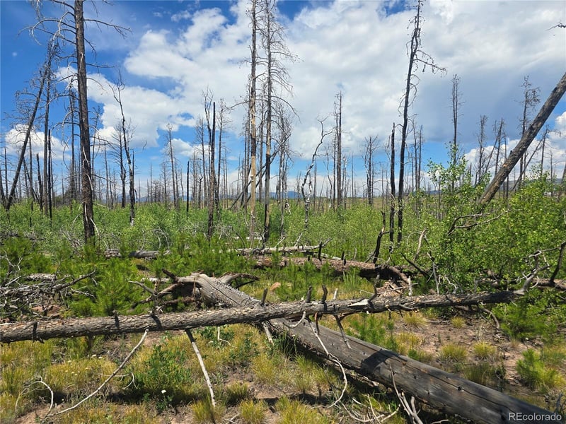 1460 - 1470 Von Hyle Ln, Fort Garland, CO 81133