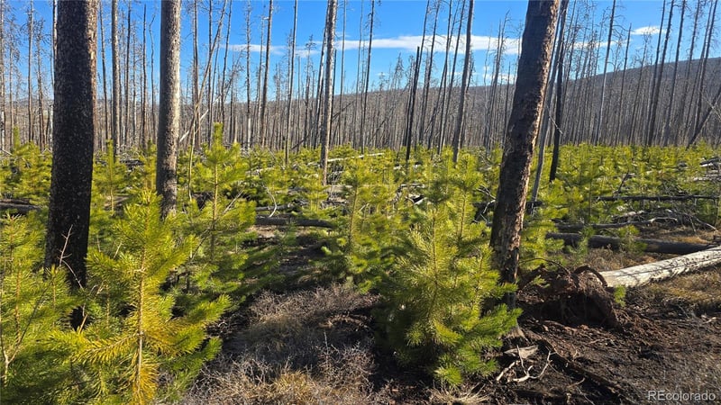 1460 - 1470 Von Hyle Ln, Fort Garland, CO 81133