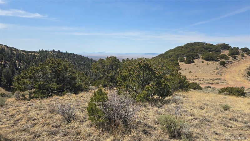 Lot 5506 Balleroy Rd, Fort Garland, CO 81133