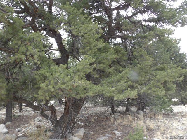3730 Cordial Way, Crestone, CO 81131
