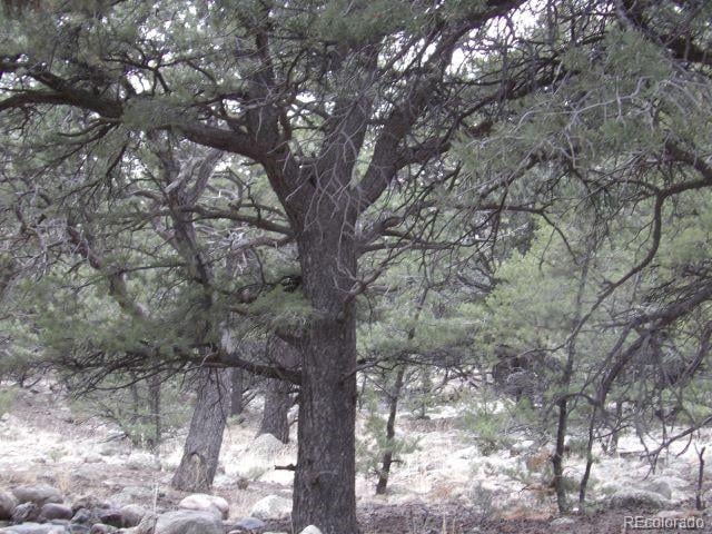 3730 Cordial Way, Crestone, CO 81131