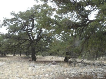 3730 Cordial Way, Crestone, CO 81131