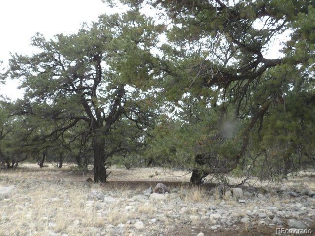 3730 Cordial Way, Crestone, CO 81131