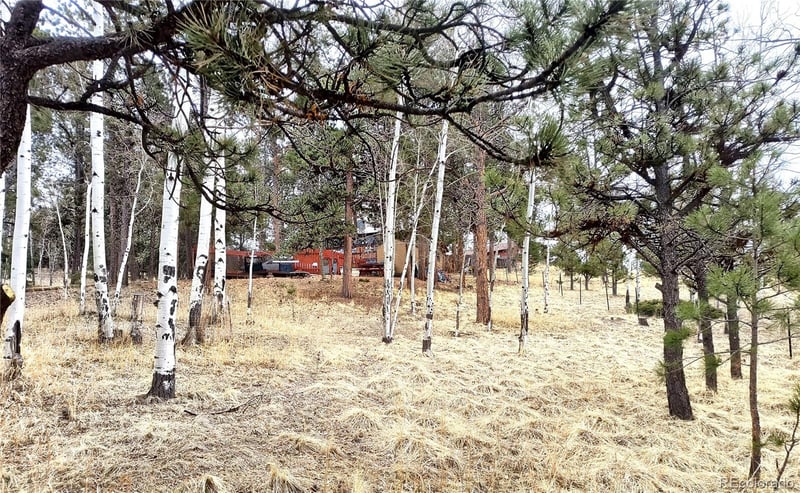 103 Adair Cir, Florissant, CO 80816