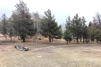 103 Adair Cir, Florissant, CO 80816