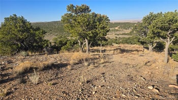 Lot 3859 Murray Rd, Fort Garland, CO 81133