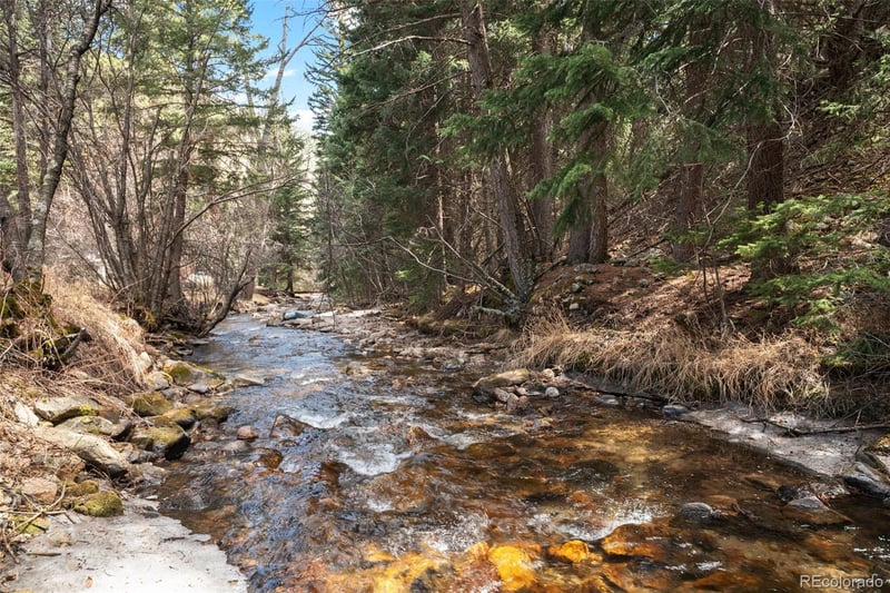 993 Fall River Rd, Idaho Springs, CO 80452