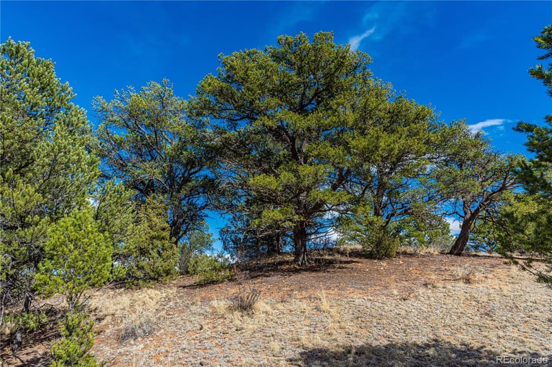 TR-56 Macdonnell , Cotopaxi, CO 81223