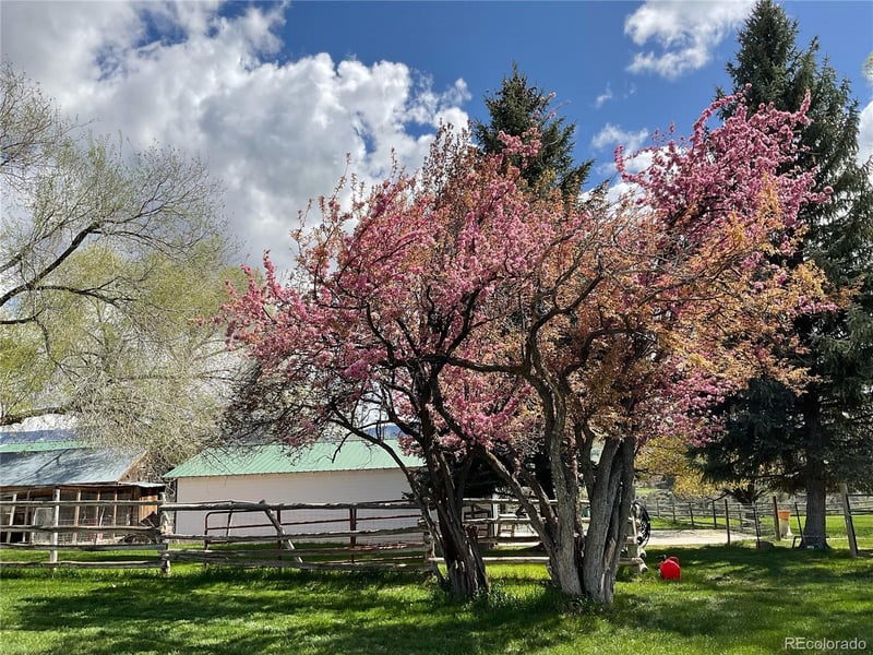 58590 Pe 3/10 Rd, Collbran, CO 81624