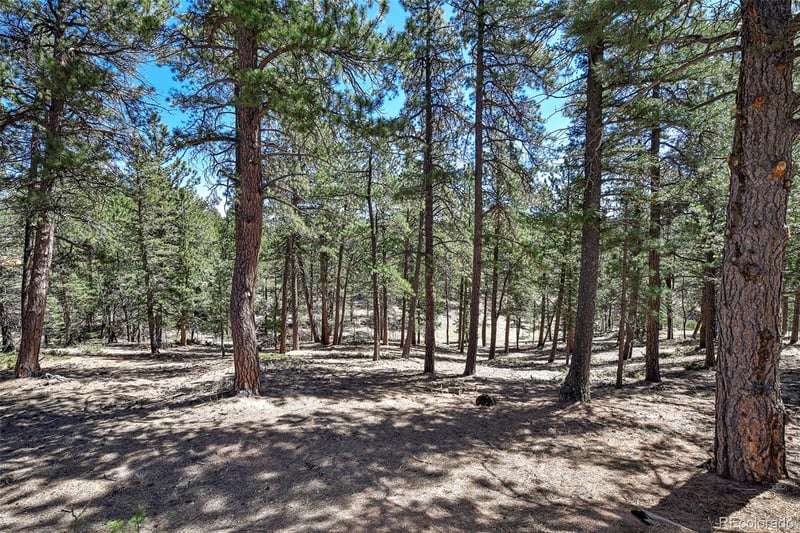 860 Spring Valley Dr Lot 13, Divide, CO 80814