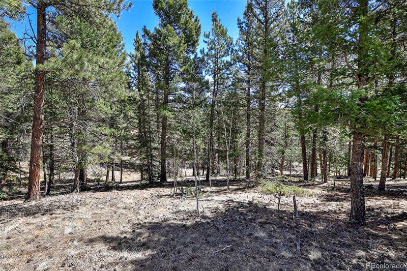 860 Spring Valley Dr Lot 13, Divide, CO 80814