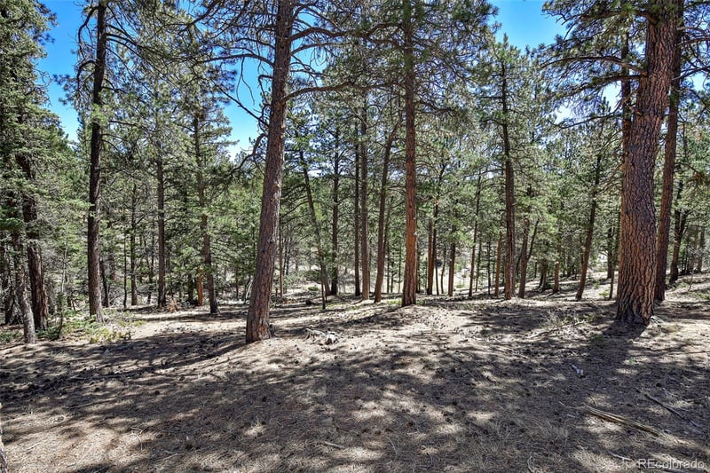 860 Spring Valley Dr Lot 13, Divide, CO 80814