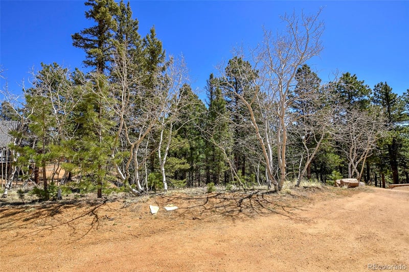 860 Spring Valley Dr Lot 13, Divide, CO 80814